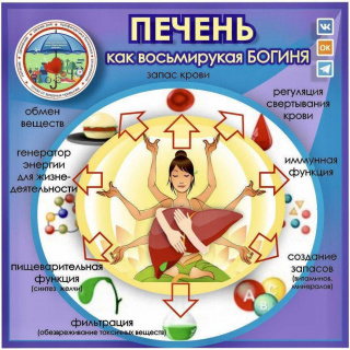 Идет неделя профилактики заболеваний печени
