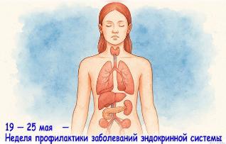 19 -25 мая. Неделя профилактики заболеваний эндокринной системы.